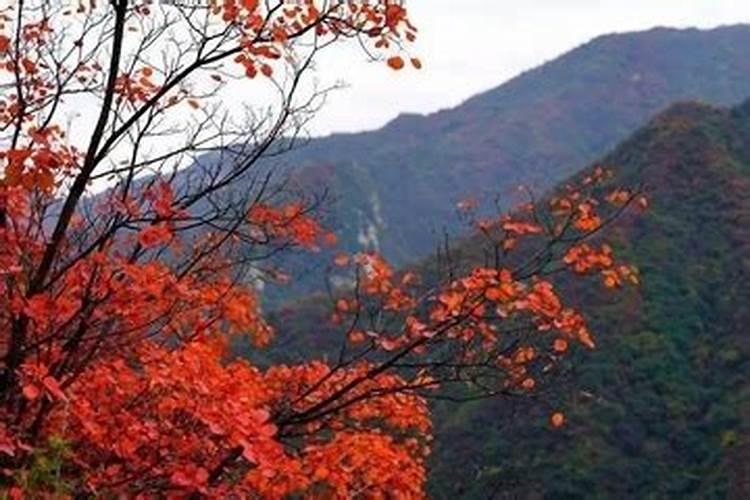 重阳节是祭拜谁的