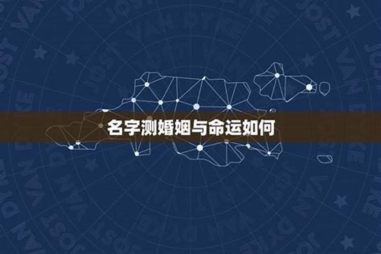 2025属猪人每月运势