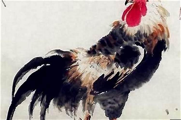 81年属鸡十一月份运势,81年11月的鸡是什么命