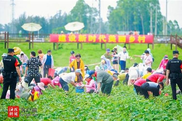 黎族的风俗习惯,聚集地和主要节日简介