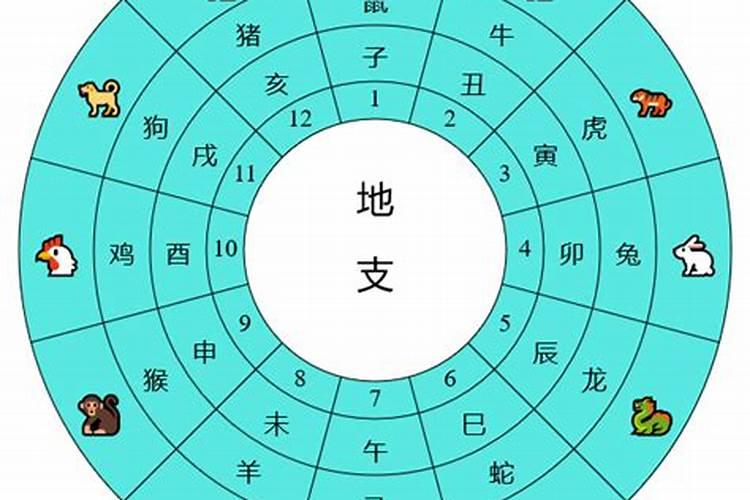 六丙日出生男女八字合婚表