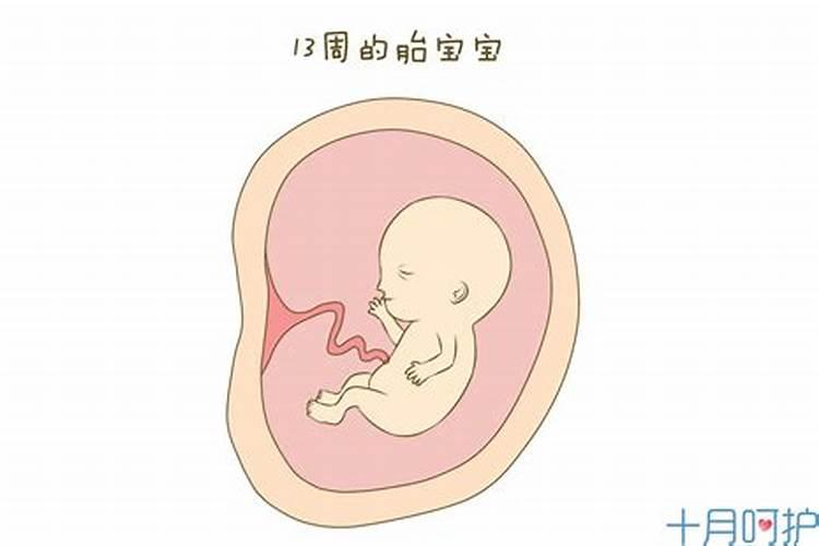 打胎的婴儿去哪了