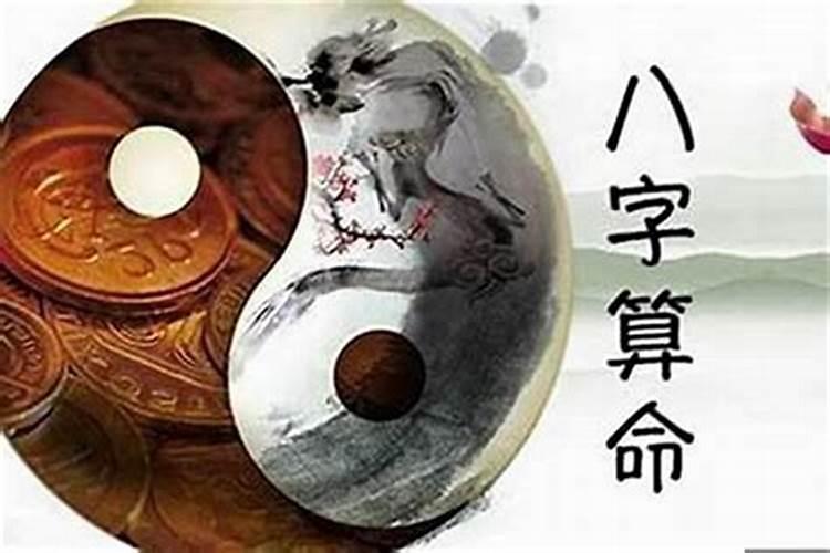 据熟食店老板透露卤菜店生意不好很可能是这三个原因