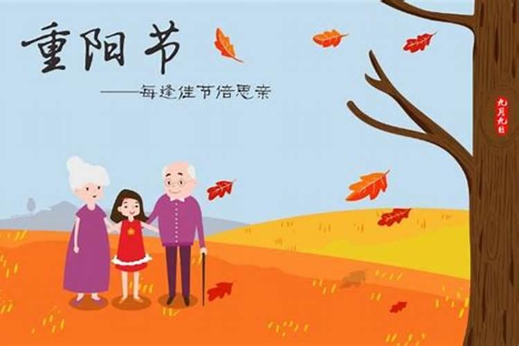 送外婆的实用礼物排行