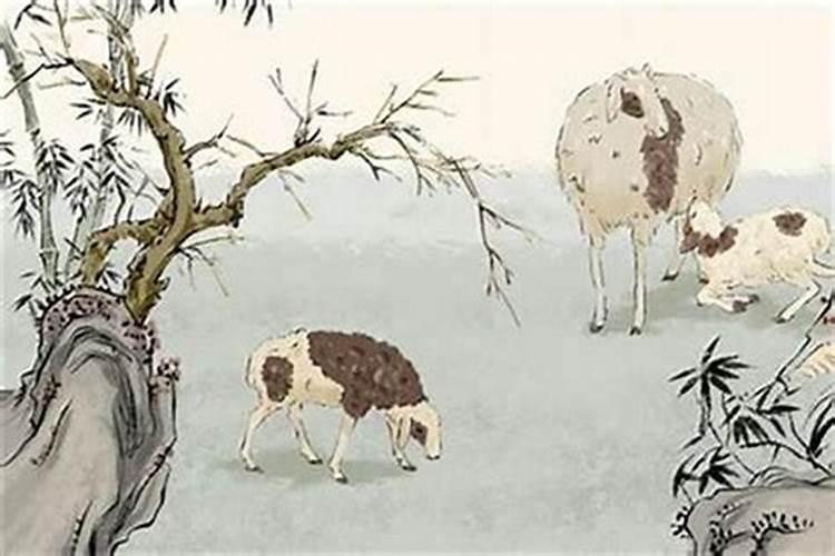 八字绳结的用途？