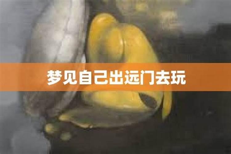 71年属猪男在2025年的全年运势
