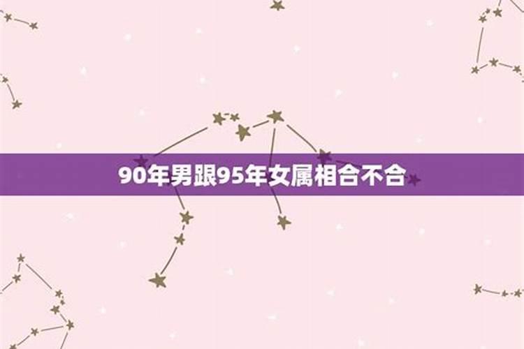 93年鸡和95年猪八字合不合