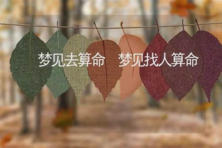 梦见批八字
