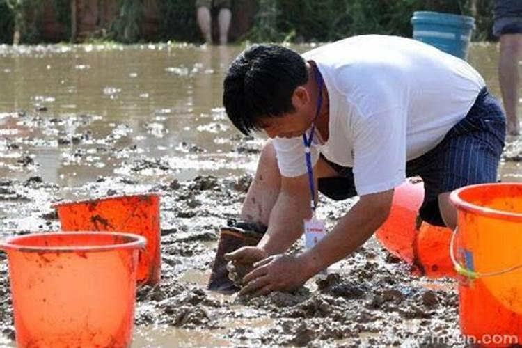 周公解梦梦见抓泥鳅 梦见抓泥鳅好不好
