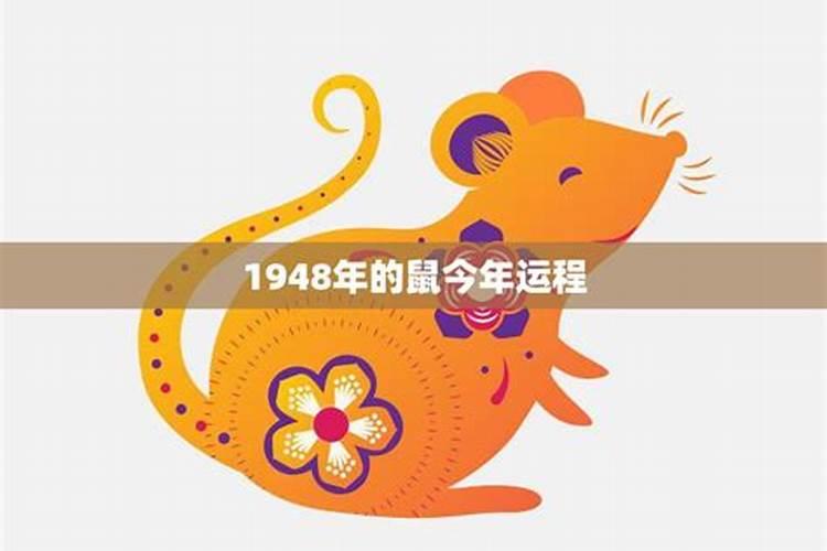 1948年属什么命 五行