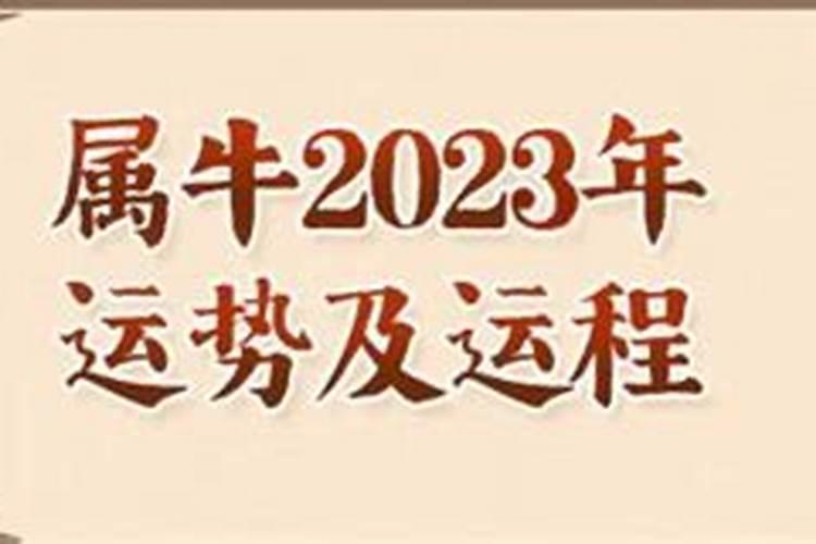 1985属牛2024运势及运程1985属牛2024年运势及运程每月运程