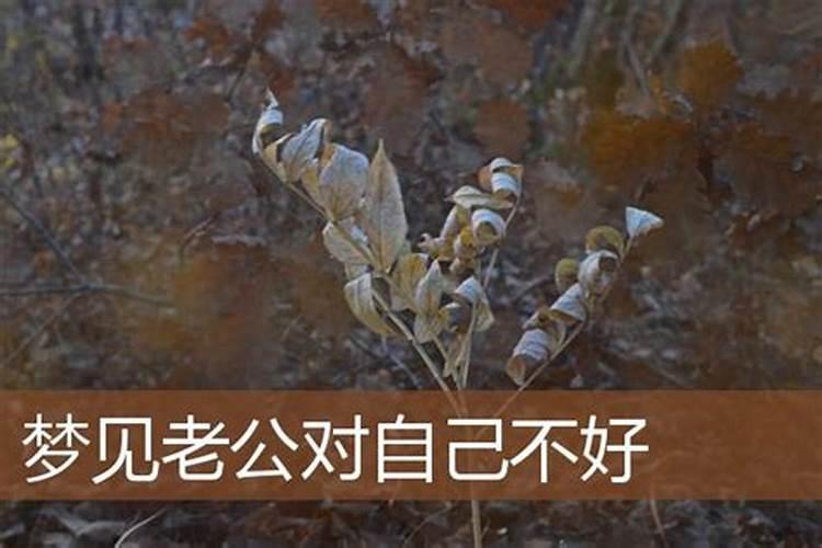 梦见爱人对我很凶而且很坏