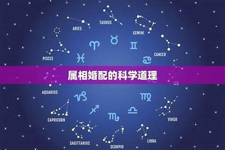 “配阴婚”背后更深层次的问题是什么？