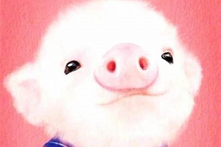 属/猪三月十五是啥时辰生的五九年？