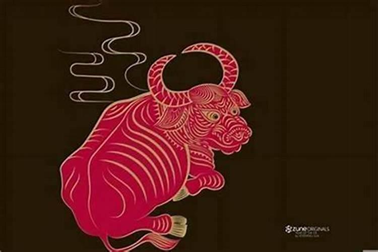 85年牛为何这么苦 一生有三大坎坷