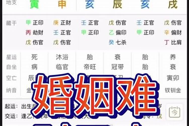 男属马女属鸡的婚姻相配吗