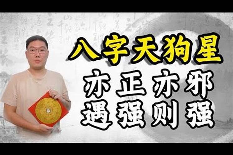 算命说有天狗 算命说我有天狗