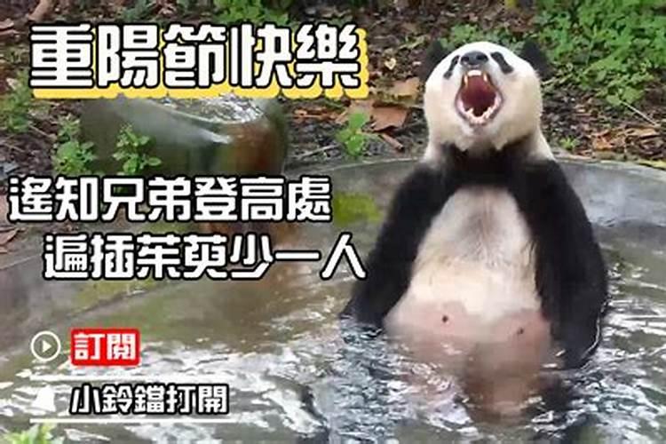命局分析 农历九月初九出生是什么命 哪个时辰出生好？