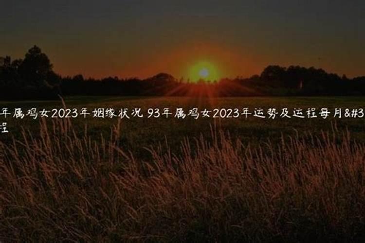 93年鸡桃花运哪年哪月,93年属鸡的桃花方位在哪里