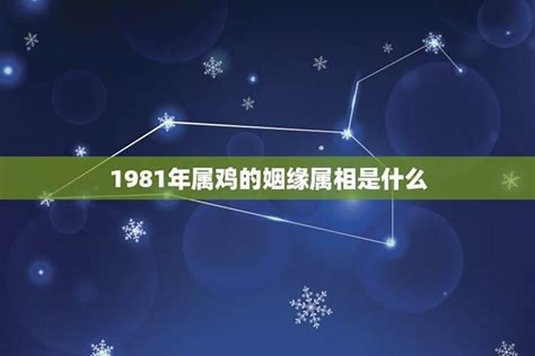 虎年农历1986十一月出生我是什么命