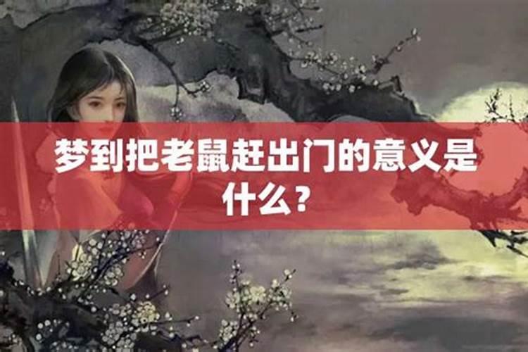 梦见自己自己屋里有老鼠,自己追赶,把老鼠赶出去了,后来老鼠跑到另外一...