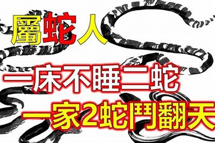 八字合婚:属蛇的女人和属蛇男能结婚吗 有没有姻缘