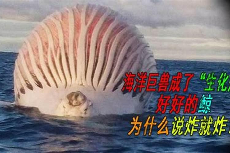 清明吃什么菜养生 有哪些饮食适合清明