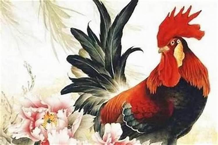 冬至后转运的生肖