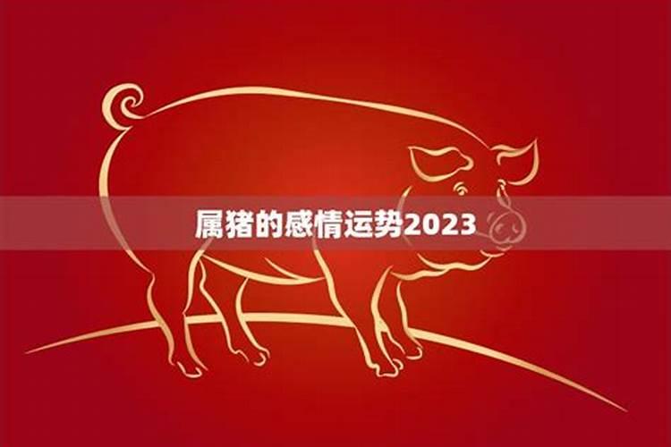 83年猪2026年属猪人的全年运势