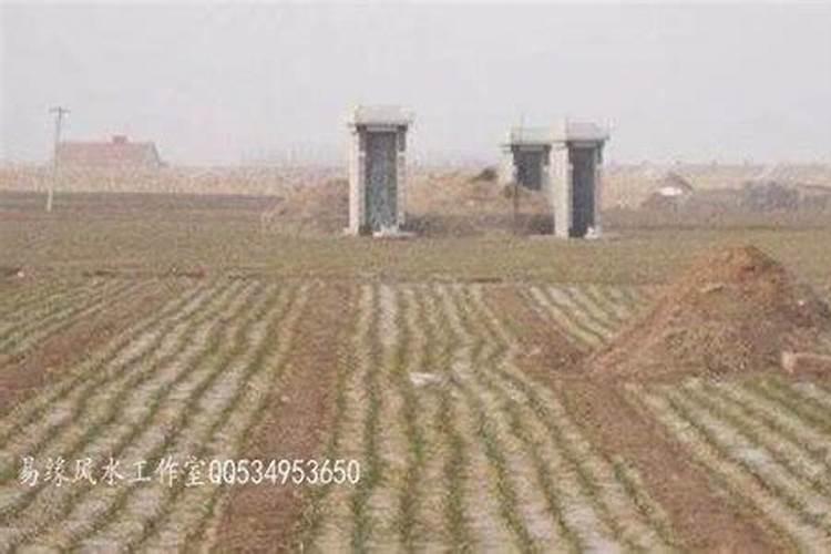 坟地的风水要这样选才能旺子孙后代