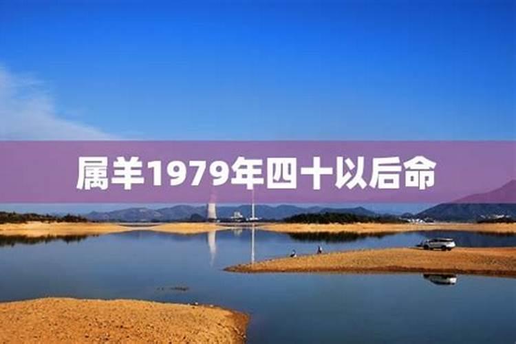 属羊的后半生命运很惨吗