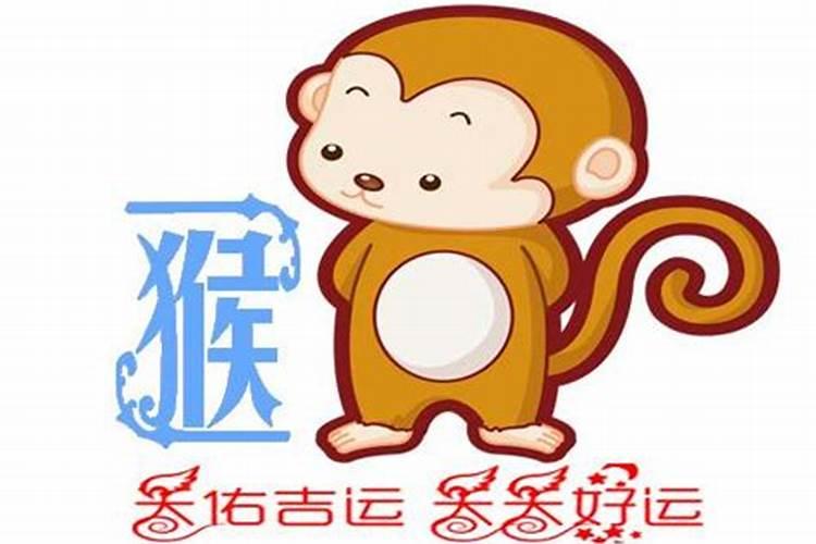 2024年属猴人的学业如何
