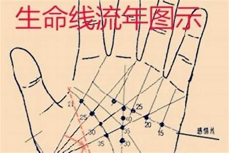 副生命线有哪几种图解