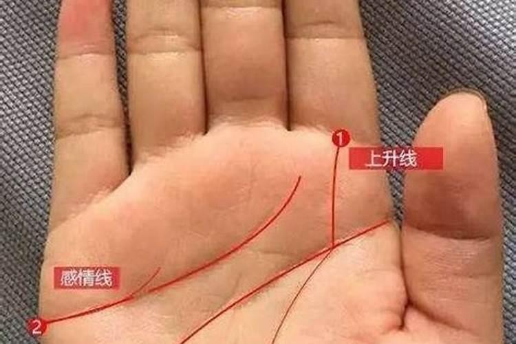 副生命线是什么意思 健康的保险线？