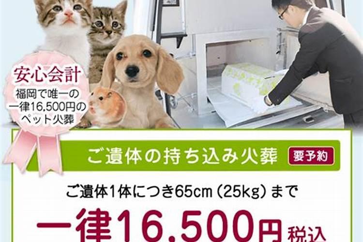 梦见去火葬场是什么预兆