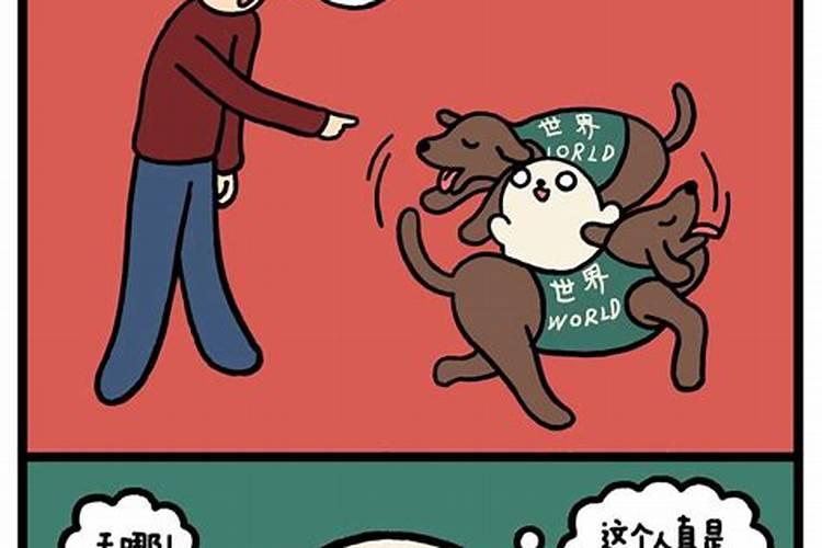 梦见老人家一直跟着我的预兆