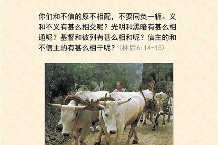 八字不合
