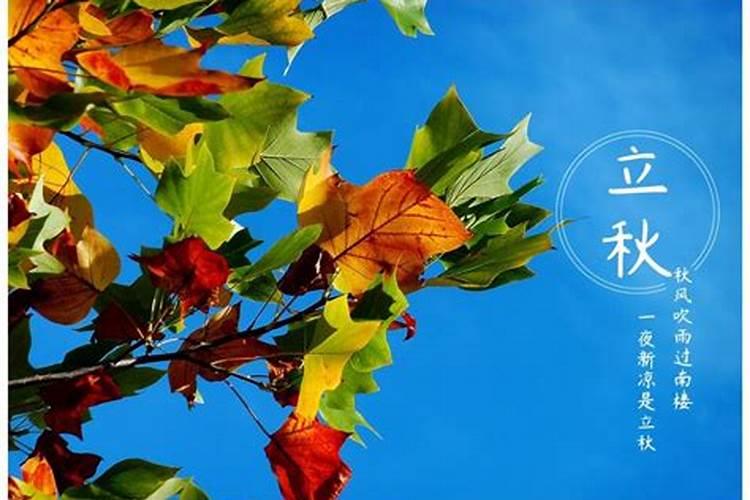 秋分节气的特点和风俗幼儿园