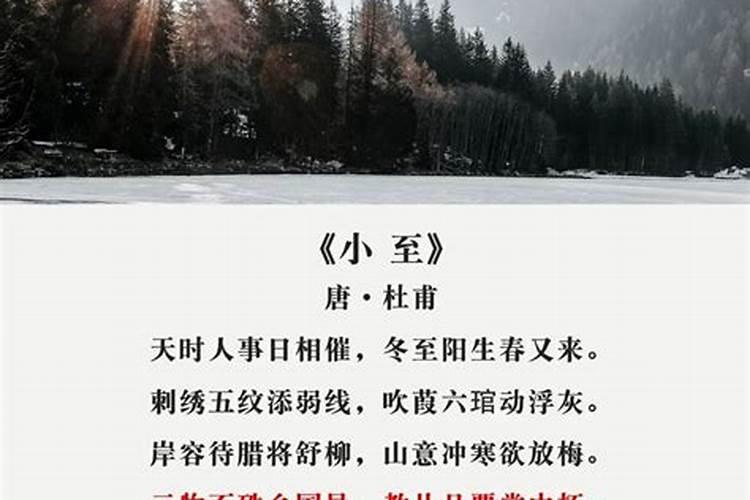 冬至那天我生日呀,饺子呀办,吃不吃