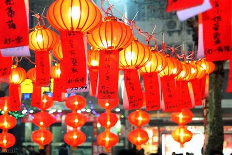 家居家里摆什么花防小人