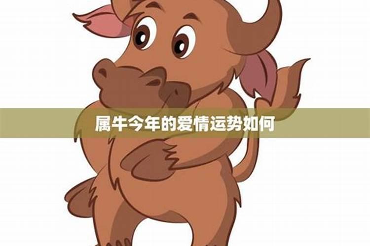 73年属牛女2025年每月运势