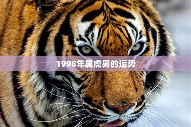 98年属虎男2025年运势及运程