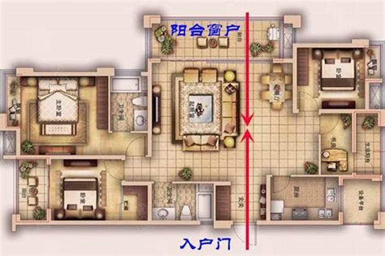 适合领导办公室摆放的绿植 君子兰放办公室能旺事业？