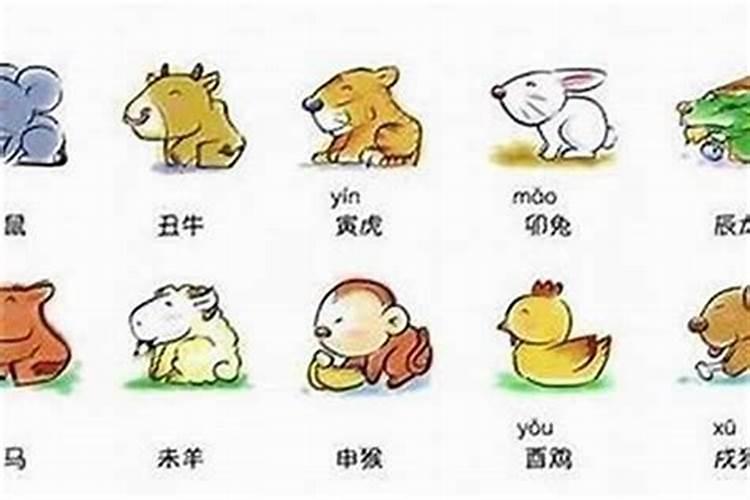 属猪的找对象,哪个属相最好!
