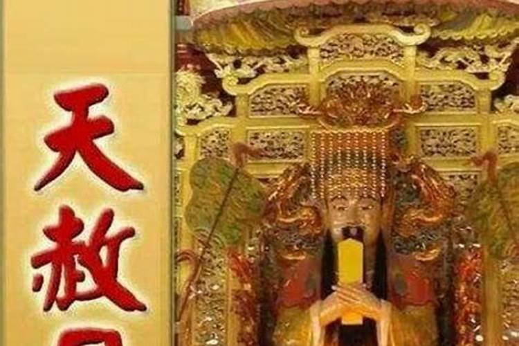属猪的2019年可以结婚吗 属猪的2019年结婚好吗