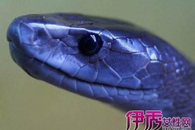 生辰八字测姻缘,生辰八字测姻缘