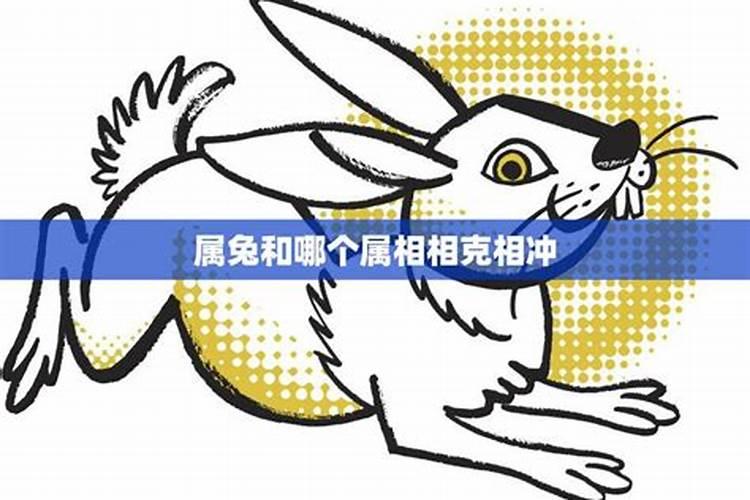 属兔与什么属相相克相冲 属兔三合三害生肖是什么