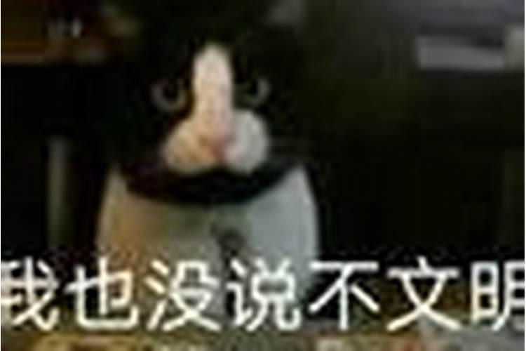 每个人有喜欢的人和不喜欢的人,你知道活泼可爱的生肖兔讨厌什么样的人...