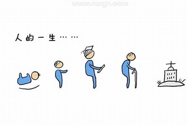 办公工位摆这些盆栽可以防小人