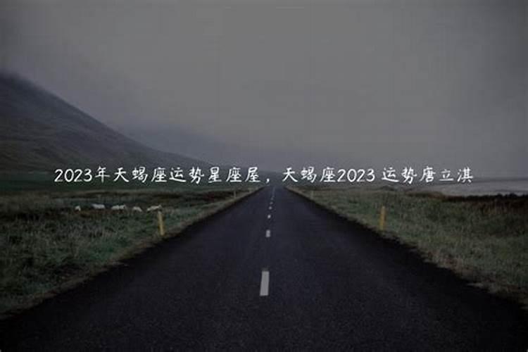 天蝎座2025年的全年运势